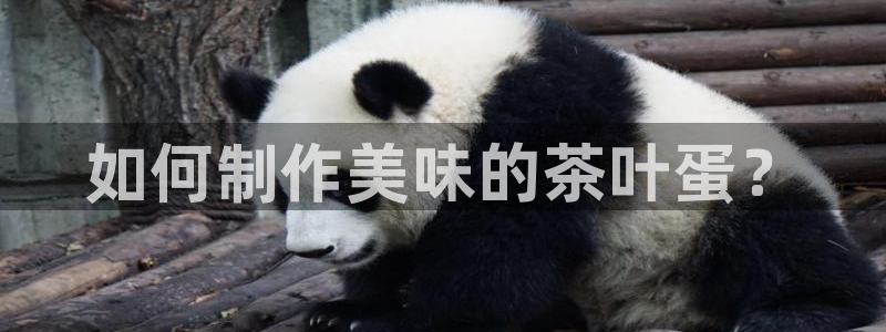 安信12注册代理