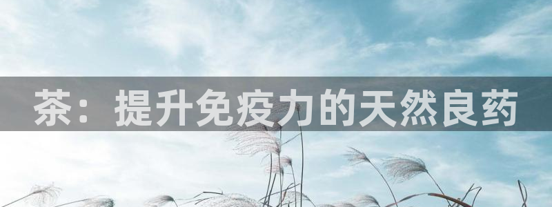 安信12周年庆典