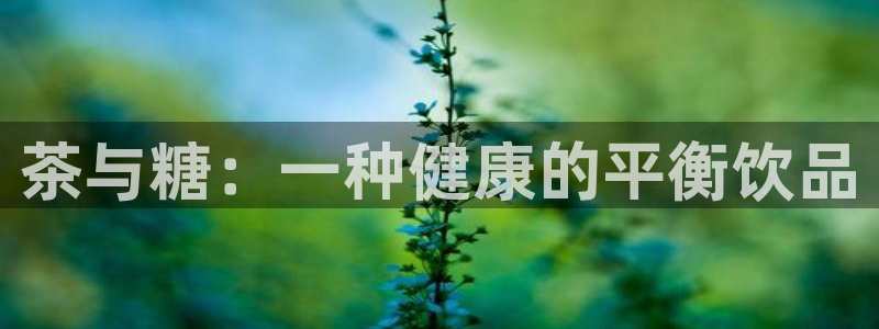 安信12平台开户
