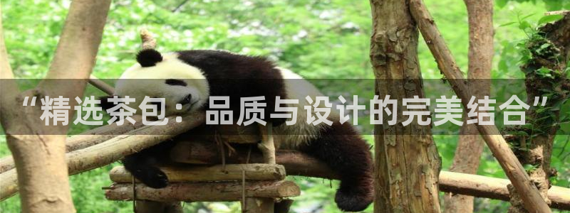 安信12开户