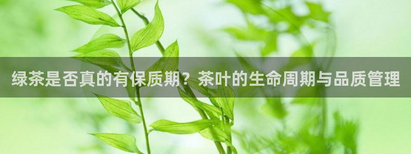 安信12平台最新消息