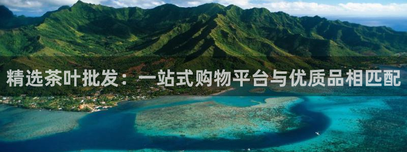 安信12官方下载