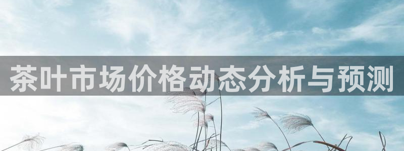 安信12级