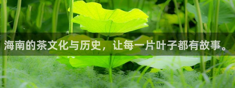 安信安翼 12账号