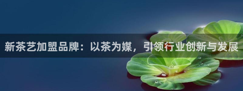 安信12月金股