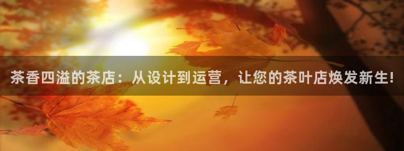 安信12娱乐开户