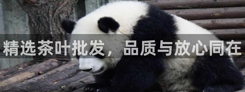 安信12娱乐7o777还