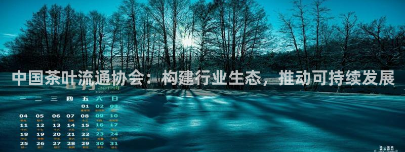 安信12挂机
