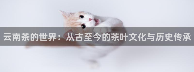 安立信12改装