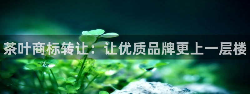 安信12平台开户