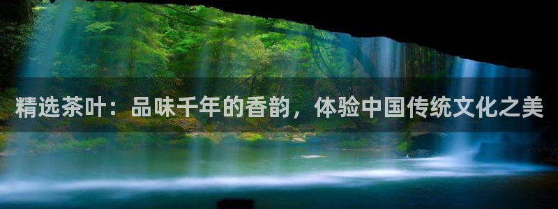 安信12是做什么