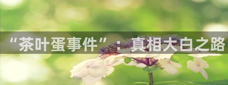 安信12