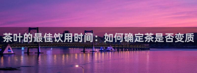 安信安赢12号