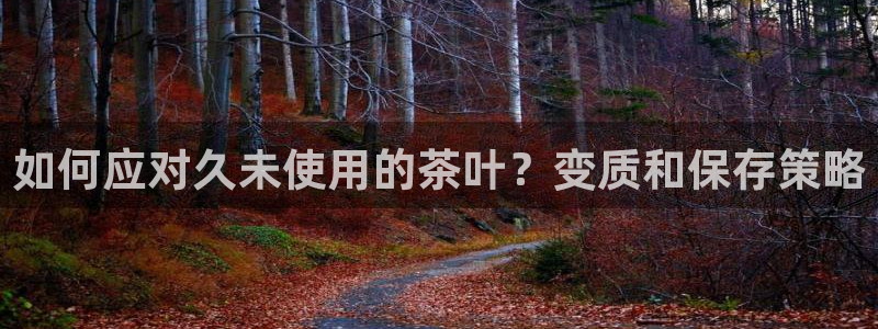 安信12娱乐主管