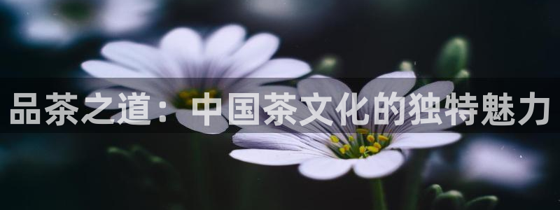 安信 12