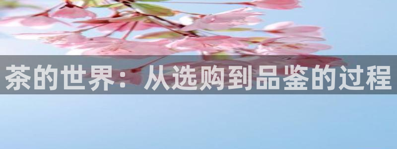 安信主管su金12手12指tq