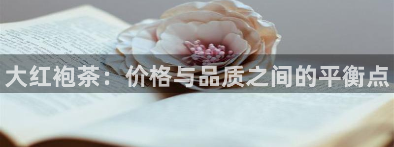 安信招商rk金12手12指jc