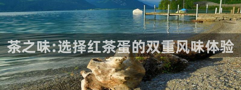 安信12周年