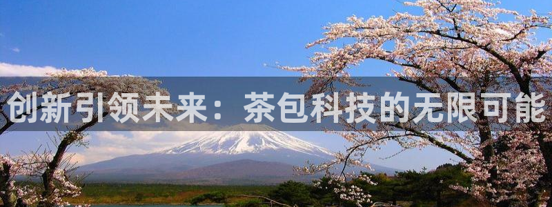 安信12如何开代理