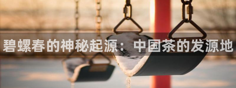 安信12平台下载