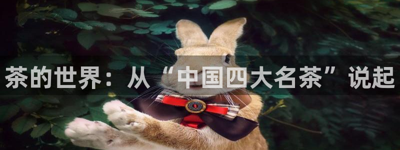 安信12注册咋7O777