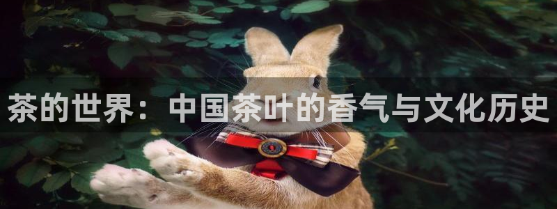 安信12位数资金号