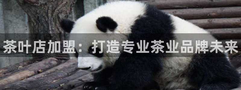 安信12官方网站查询