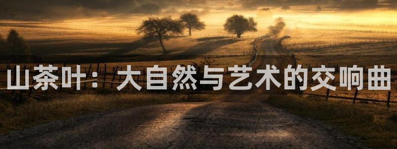 安信12是什么平台