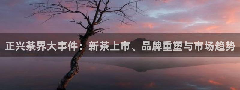 安信12平台最新消息