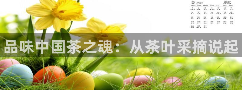 安信12级粉丝团福利