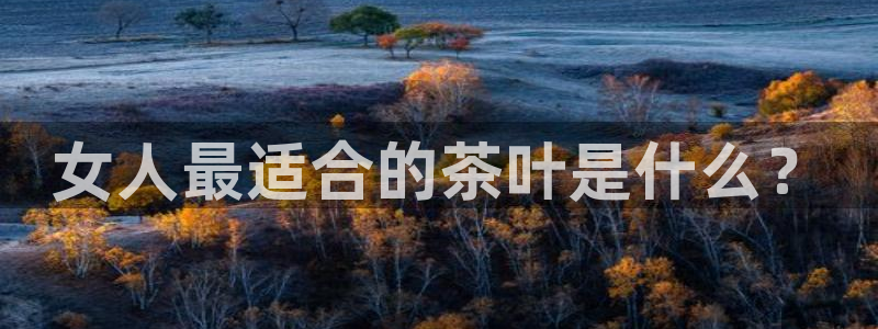 安信12娱乐平台