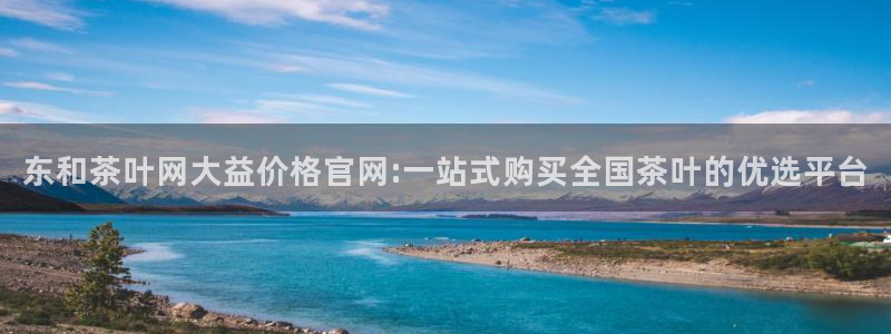 安信12平台的网址