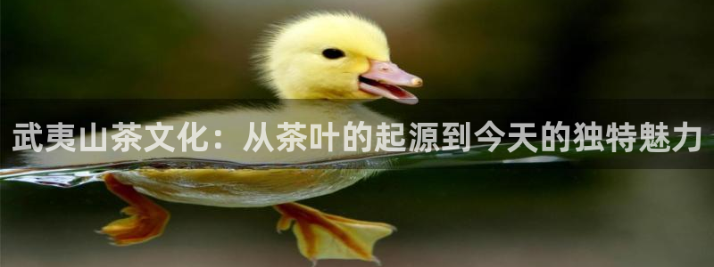 安信12娱乐开户