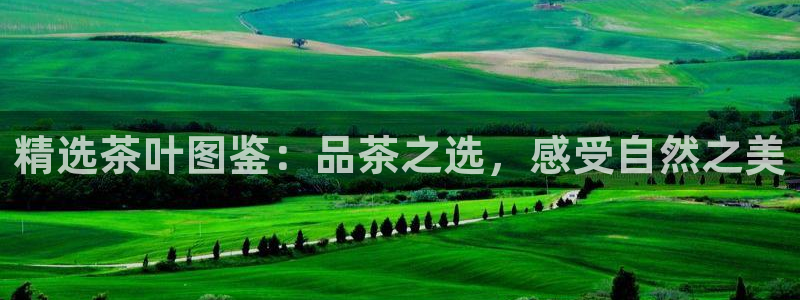 安信12软件介绍