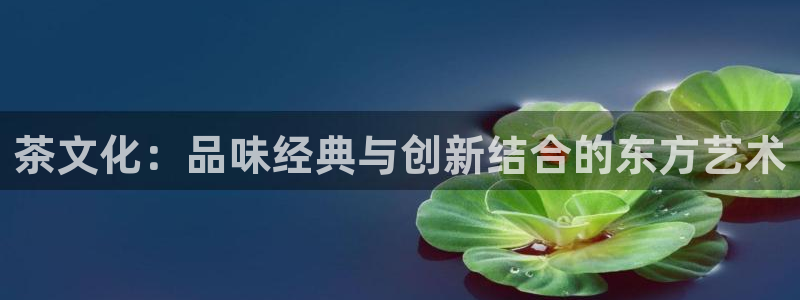 安信12是什么软件