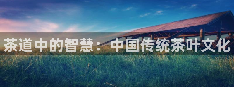 安信12怎么下载