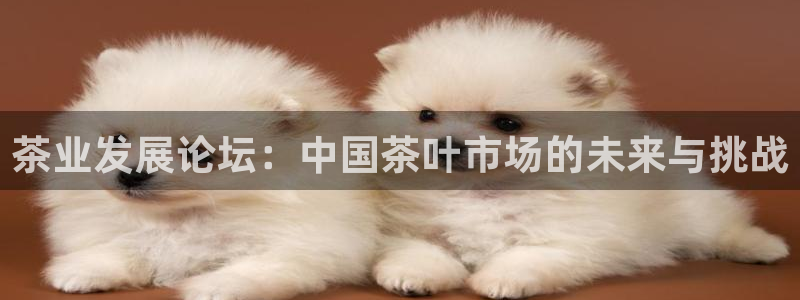 安信12娱乐代理