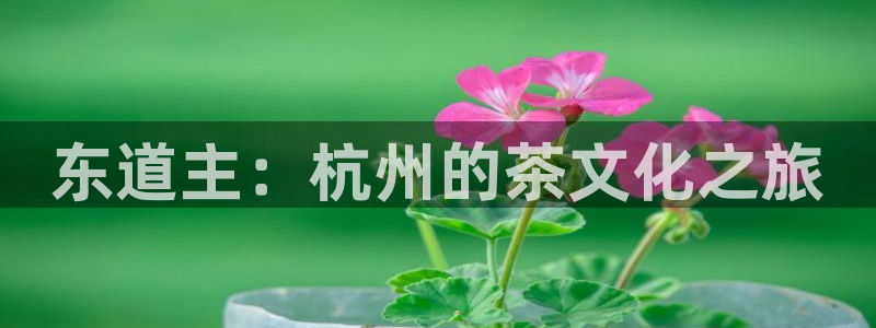 安信安盈12最新消息