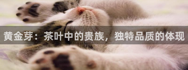 安信12登录网址