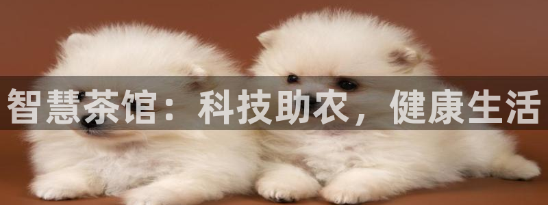 安信12娱乐招商