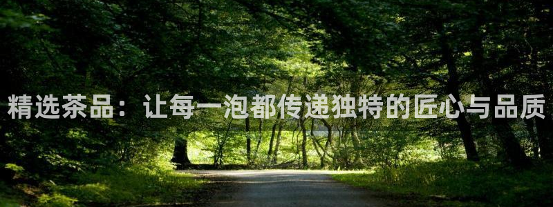 安信12位数资金号