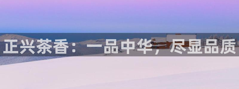 安信12彩票app下载