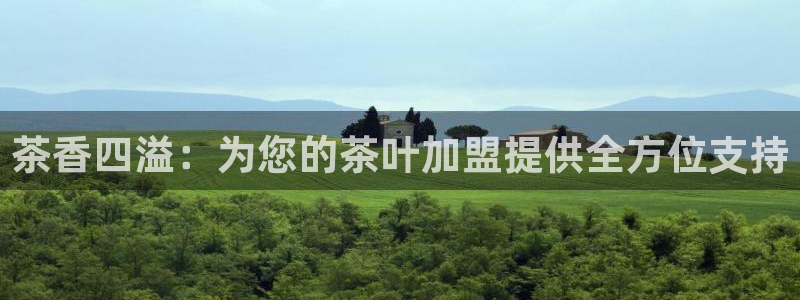 安信证券手机壳12