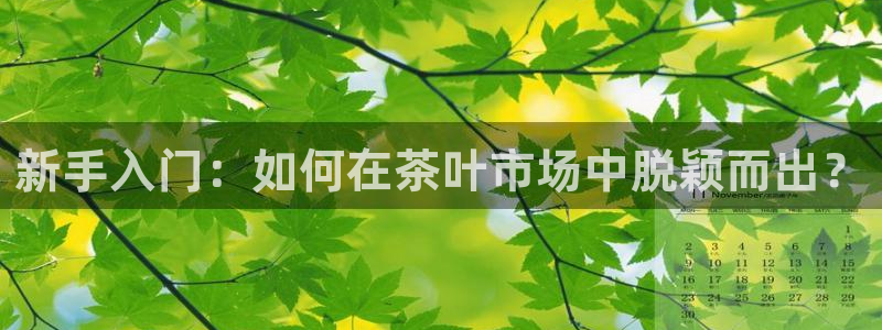 安信12是正规平台吗