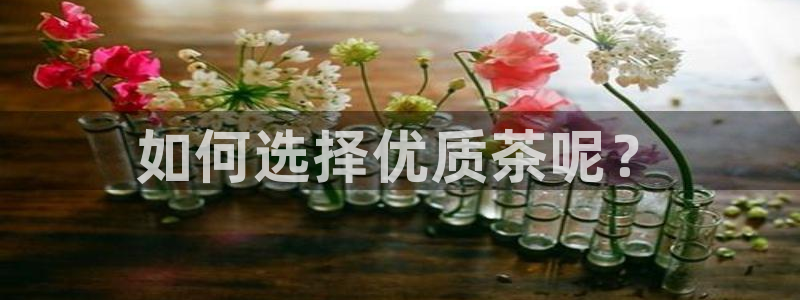 安信12是正规平台吗