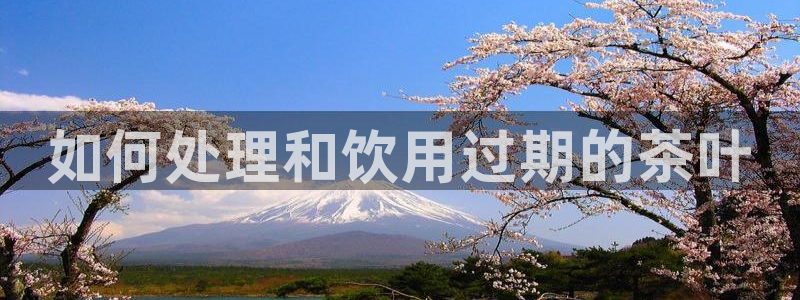 安信12专用挂机