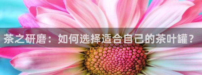 安信12注册咋7O777