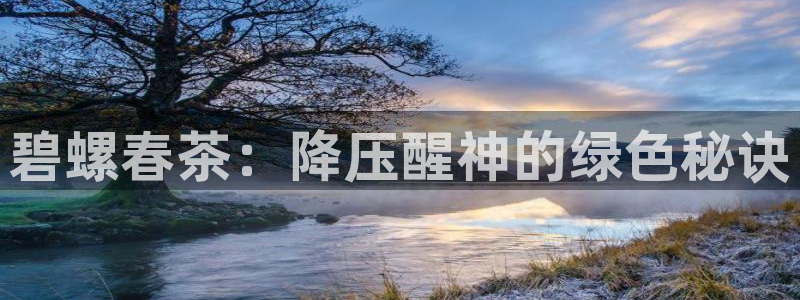 安信12平台下载