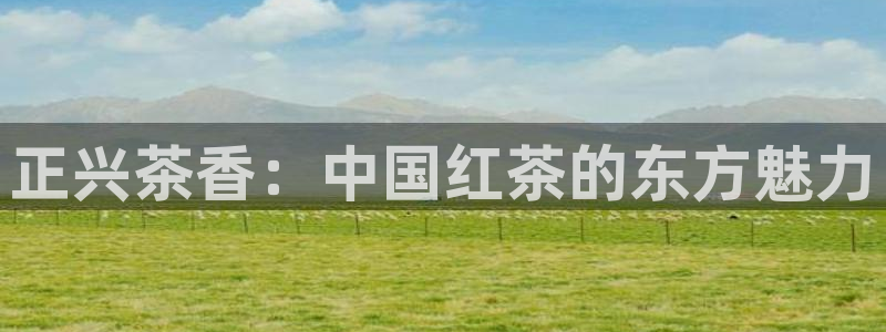 安信12位数资金号