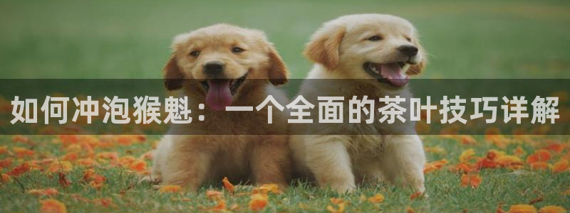 安信娱乐12登录地址